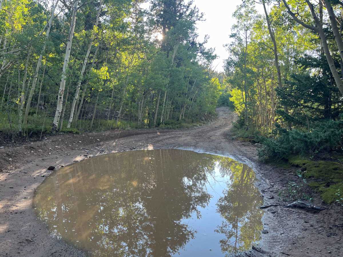 Horseshoe Road photo 4