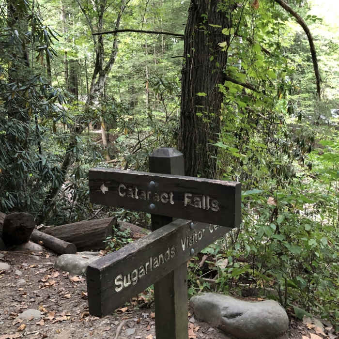 Near Fighting Creek Nature Trail