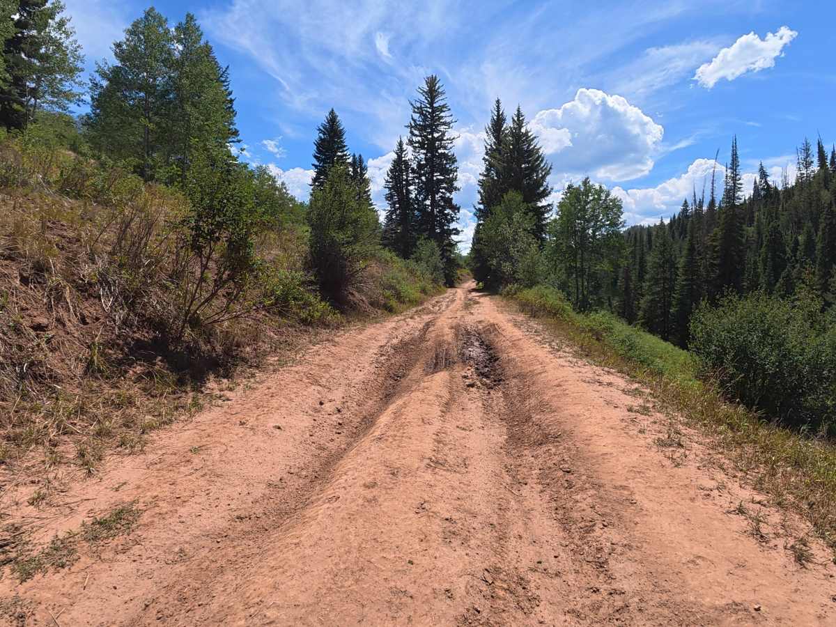 Fawn Creek Road photo 3