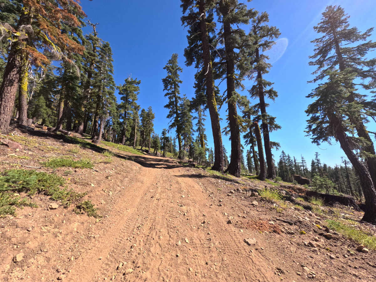 FS 17EV279 photo 6