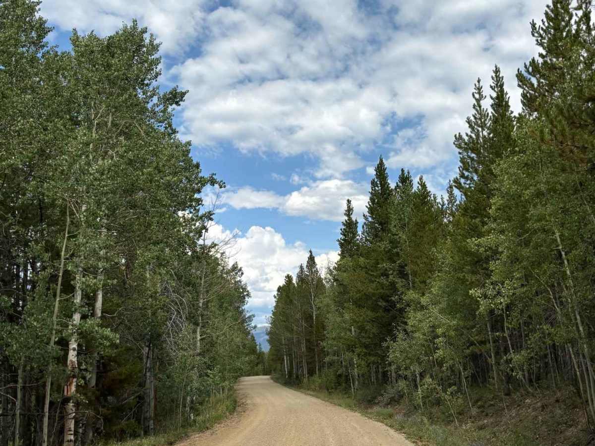 Willow Creek Road photo 6