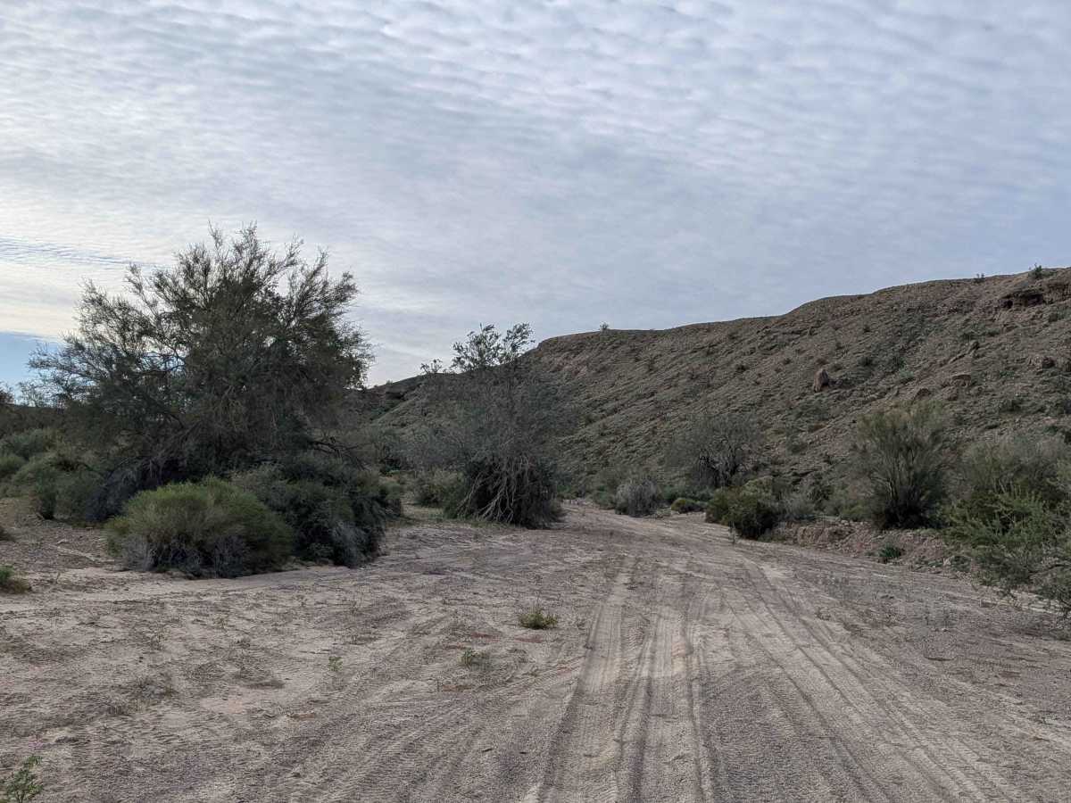 EC1187 trail photo