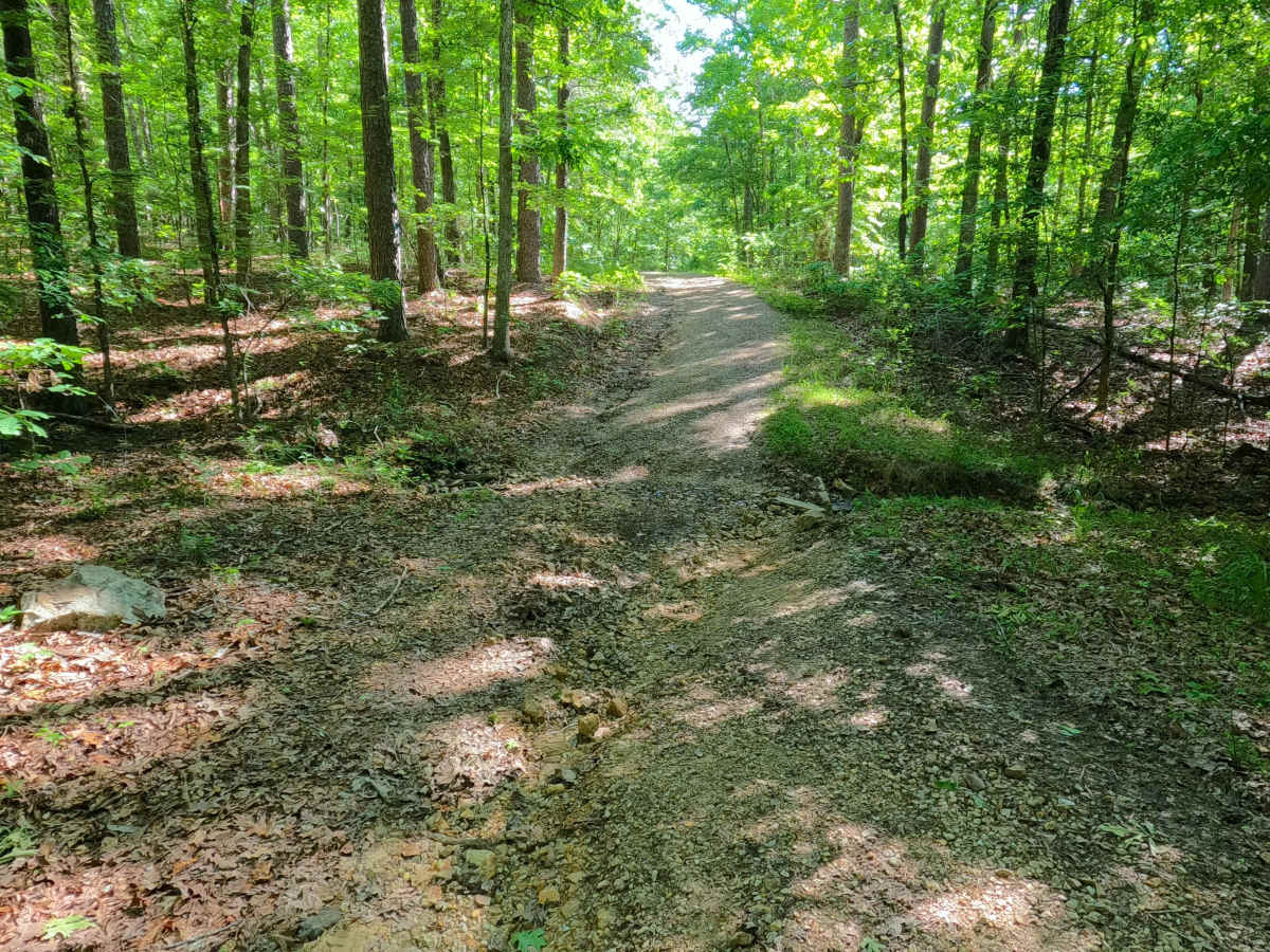 Harmon Ridge - FS 3712 photo 6