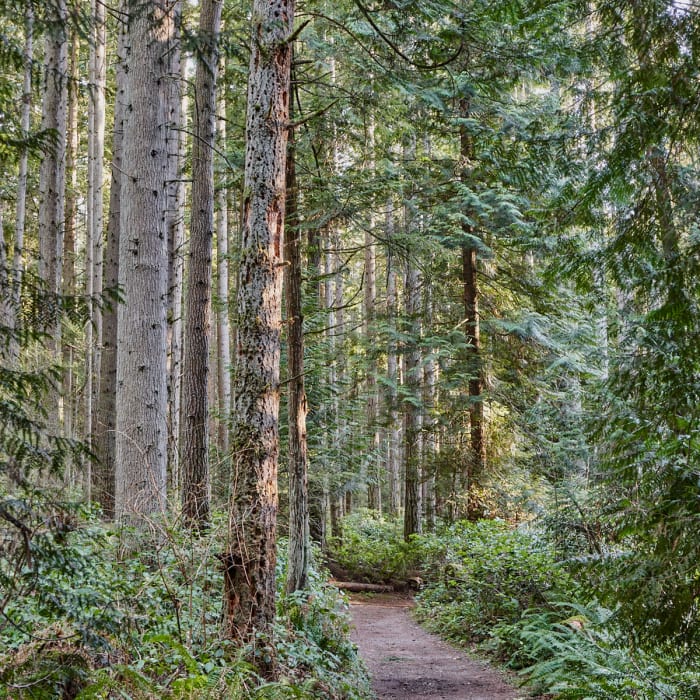 Near Bridle Trails State Park - Outer Loop