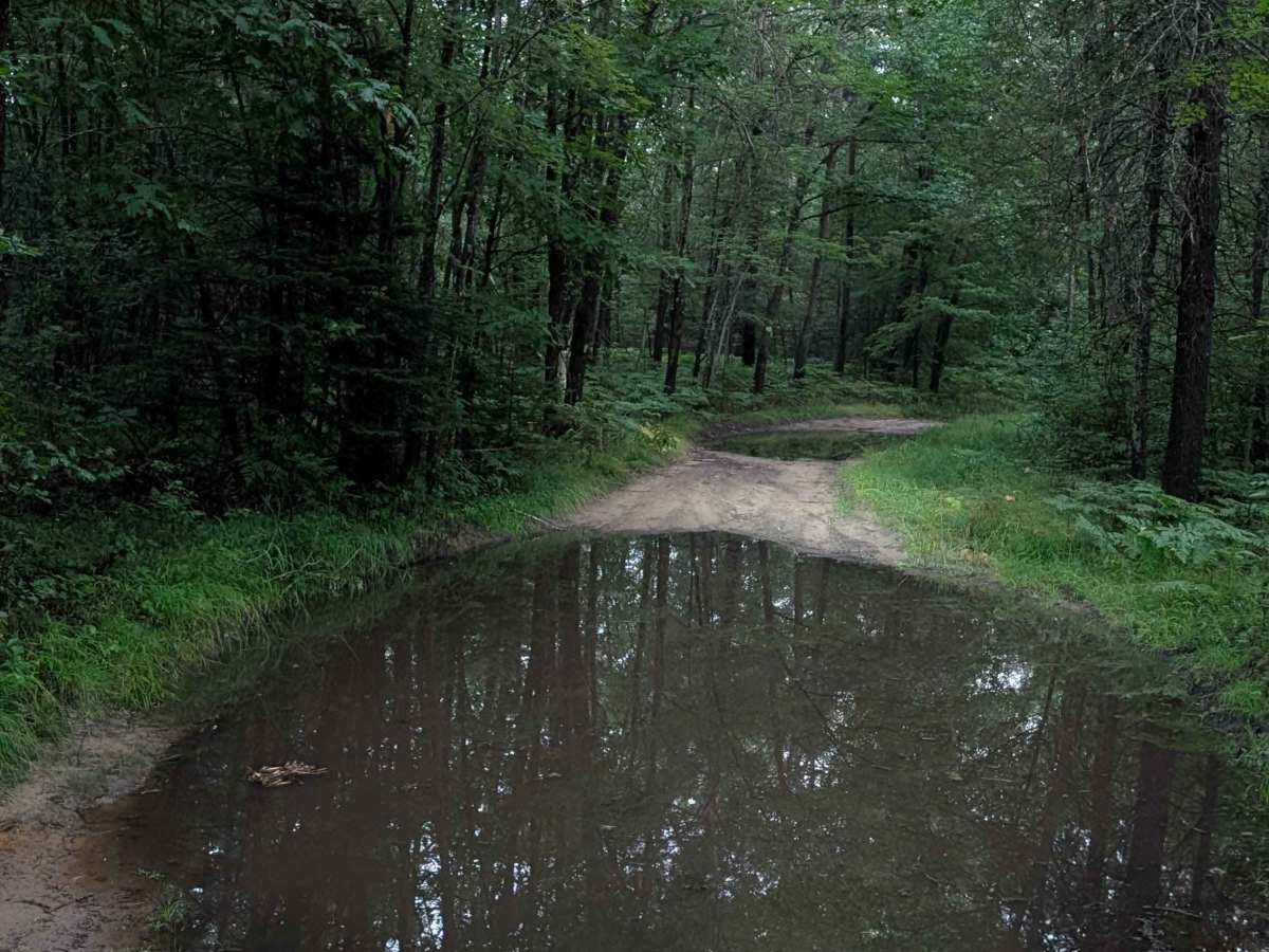 FS 4742 trail photo