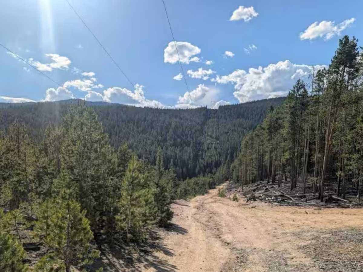 Sugarloaf Mountain Road photo 4