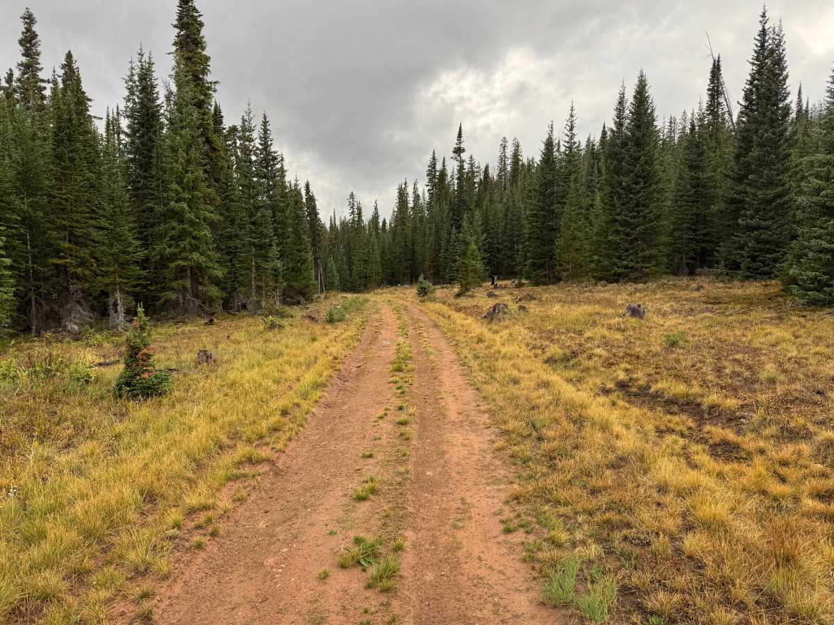 Little Woody Road trail photo