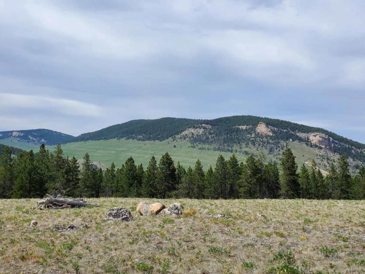 Big Goose/Game Creek trail photo