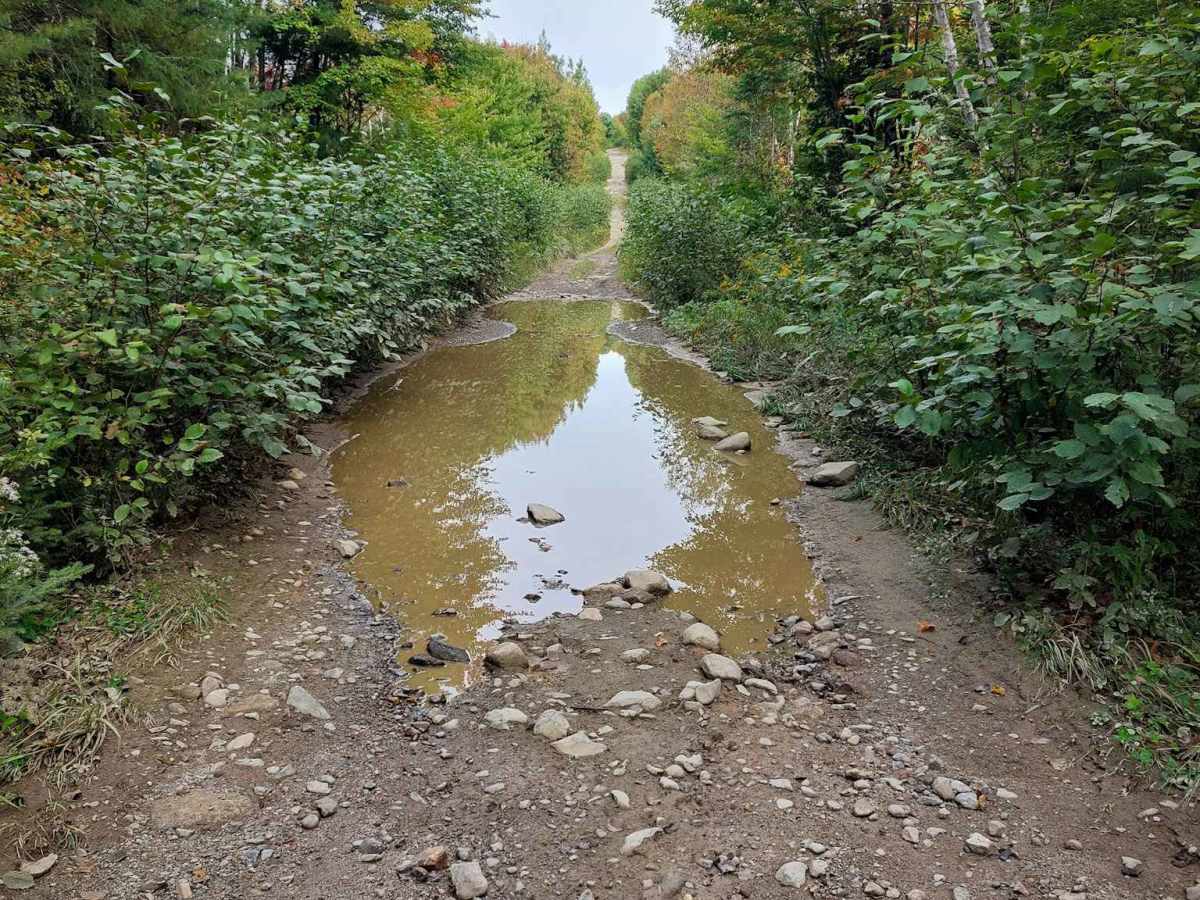Gravel Island Road photo 2