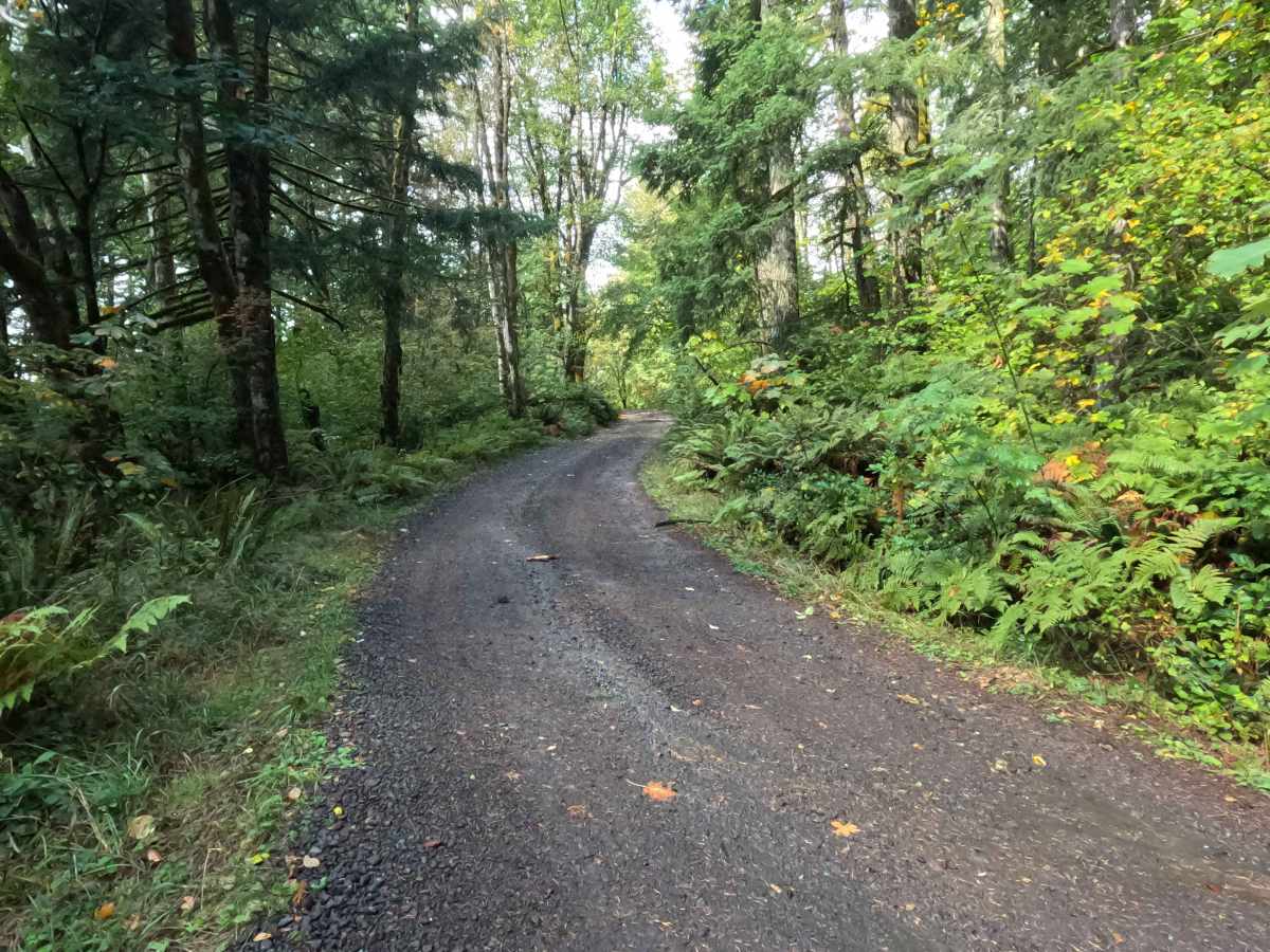 Rock Creek  N-6000 trail photo
