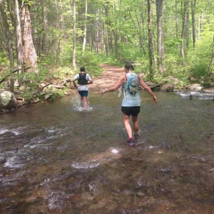 Near Sugar Hollow Loop