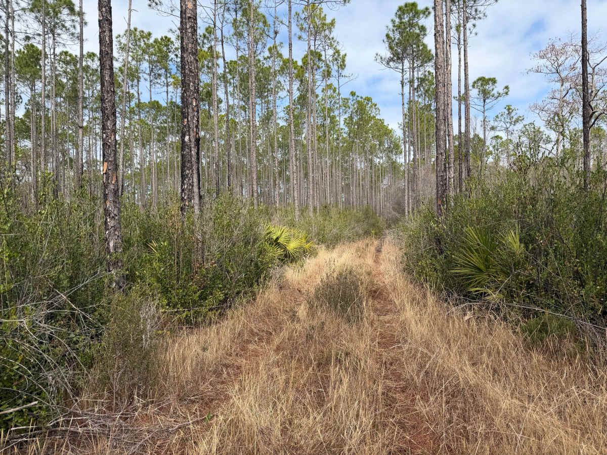 West Boundary Road Bypass trail photo