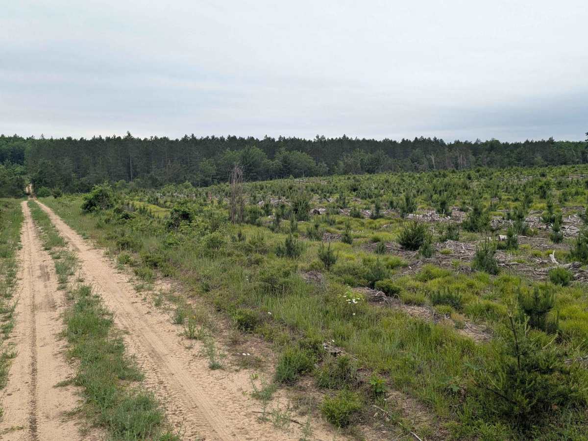 Tarn Trail trail photo