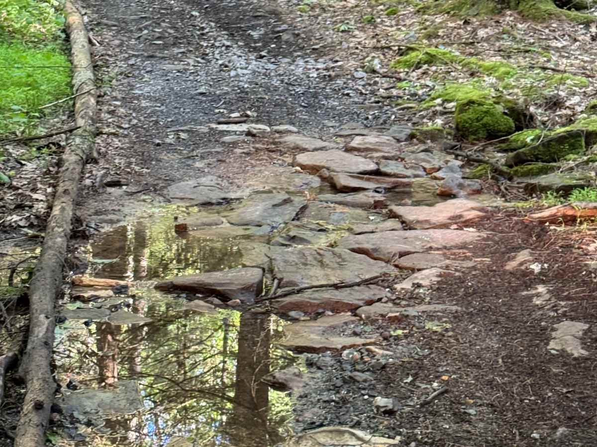 Stitzer's Well Trail photo 4