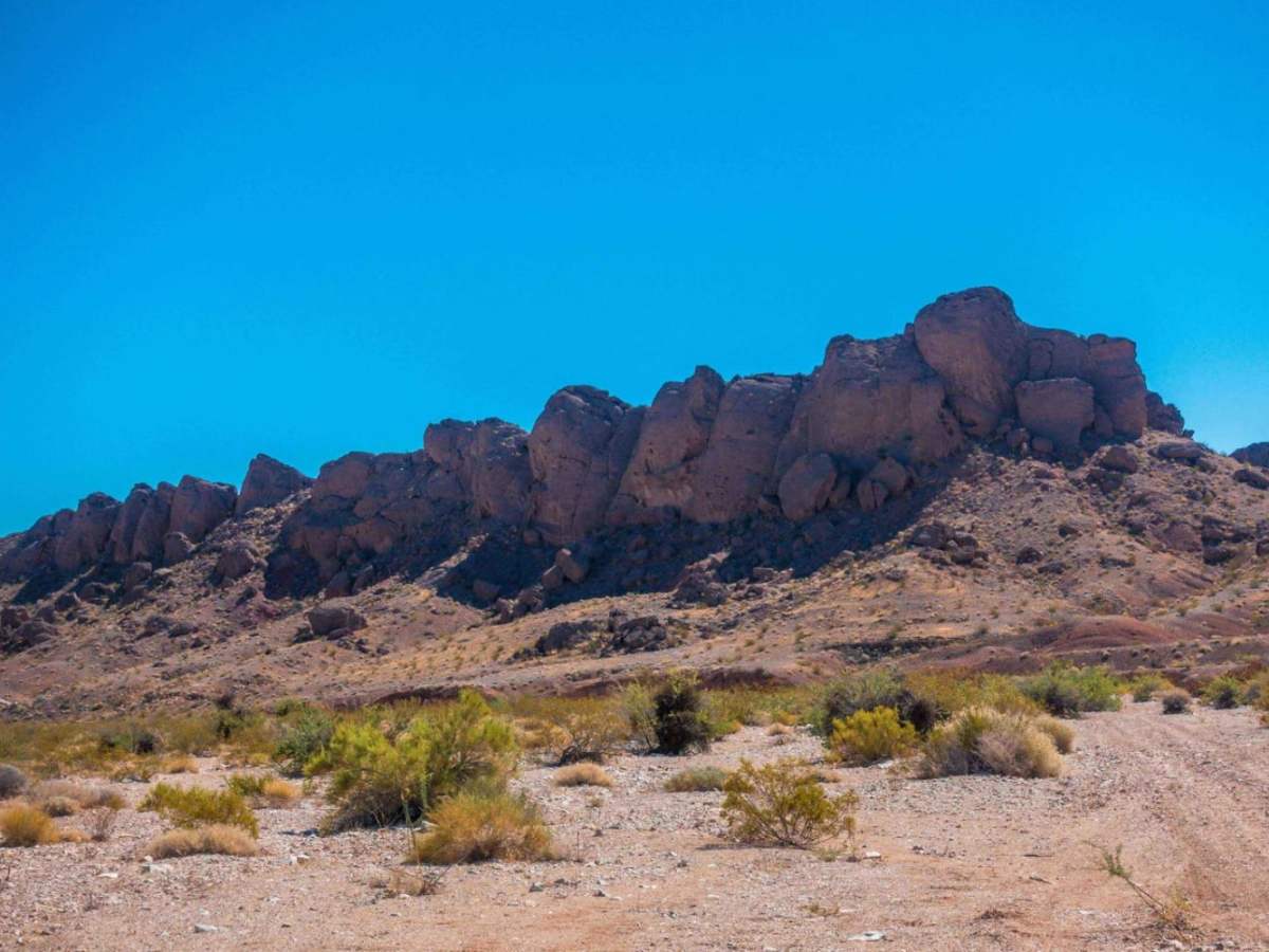 Lava Butte Loop photo 3