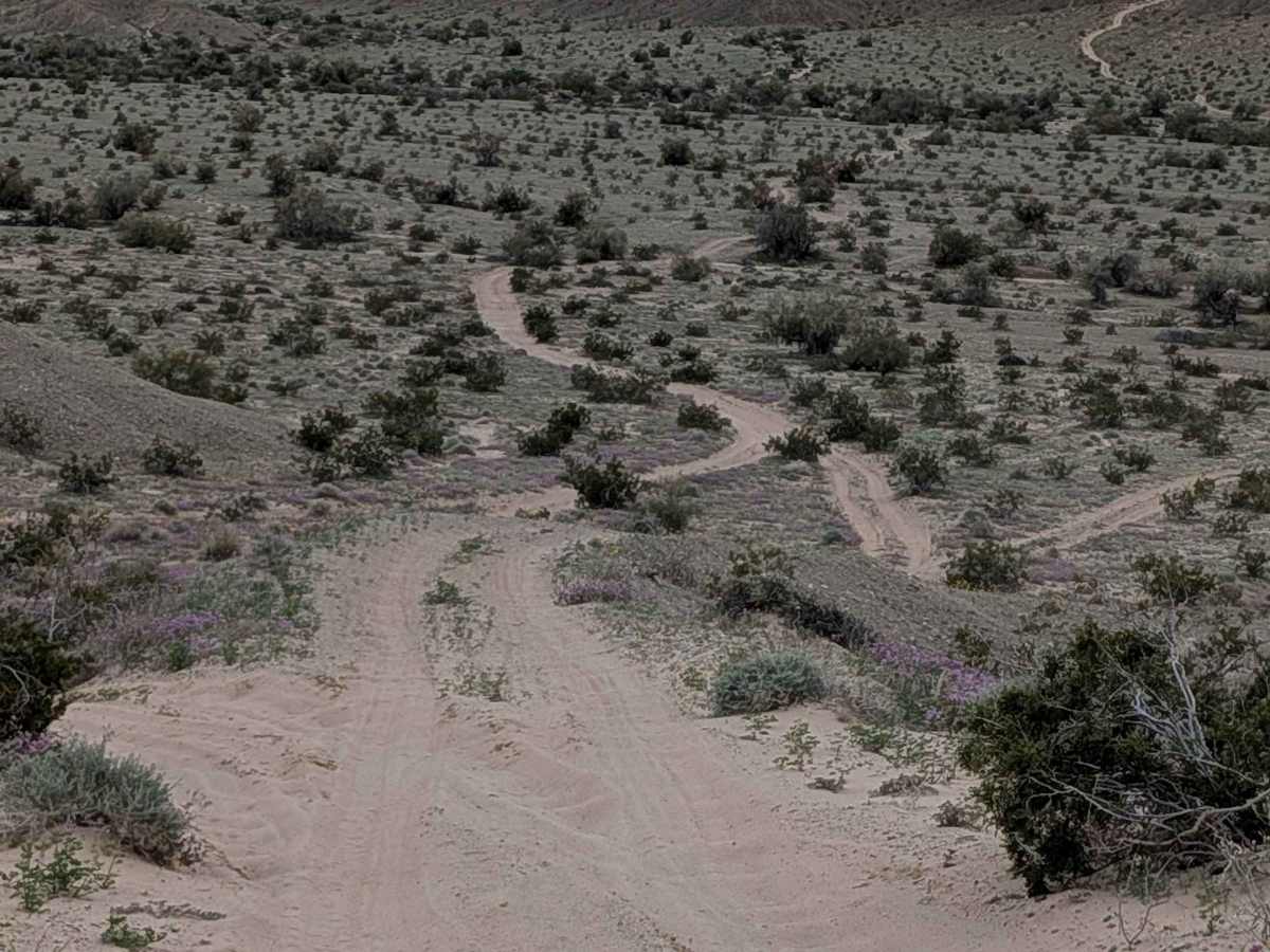 EC1233 trail photo