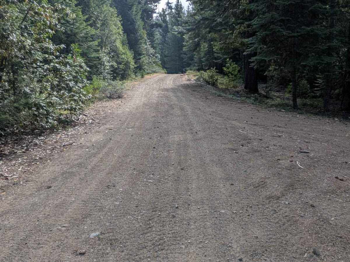 Copper Mine Road - FS 1N12 trail photo