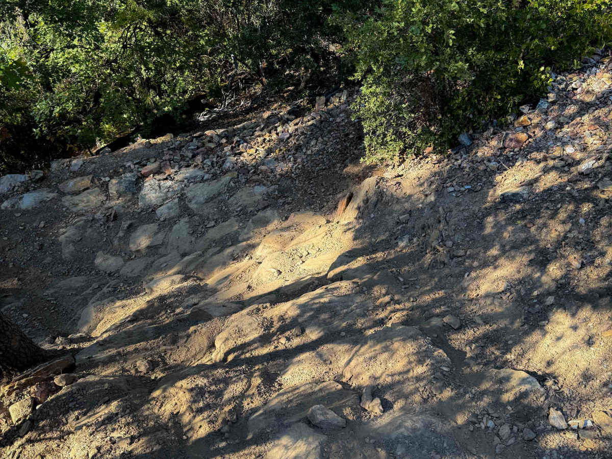 Berry Creek  photo 4
