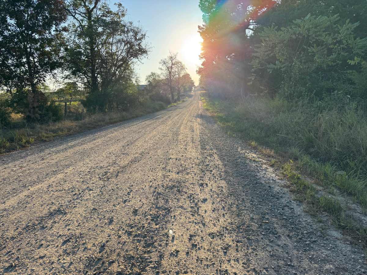 Corley Loop trail photo