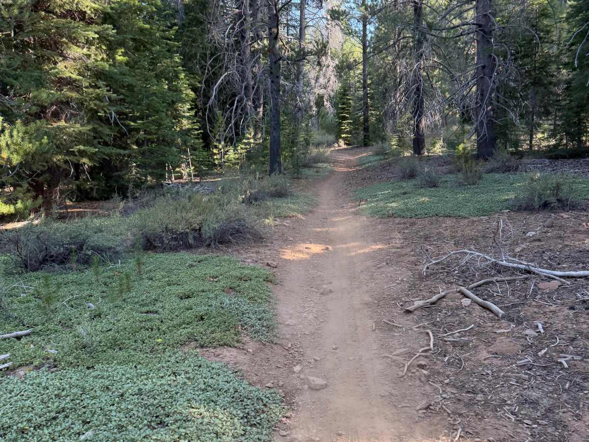 06-08 East Moto Trail photo 6