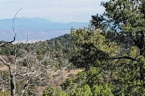 Gobbler Knob Loop