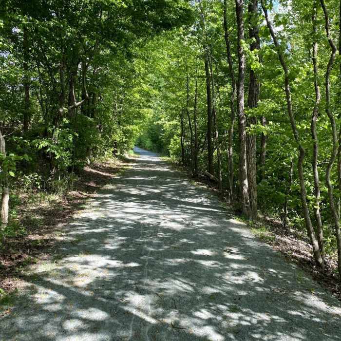Cathedral walls along the trail. Near Deep River Rail Trail