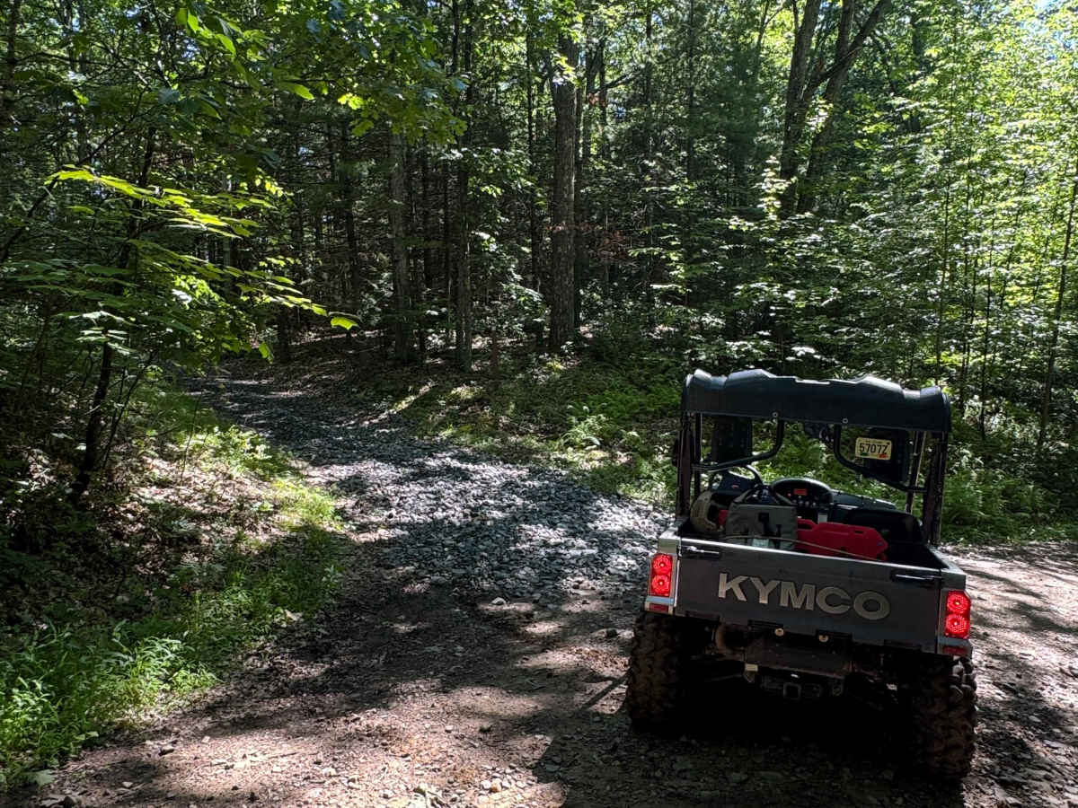 Turkey Leg Loop trail photo