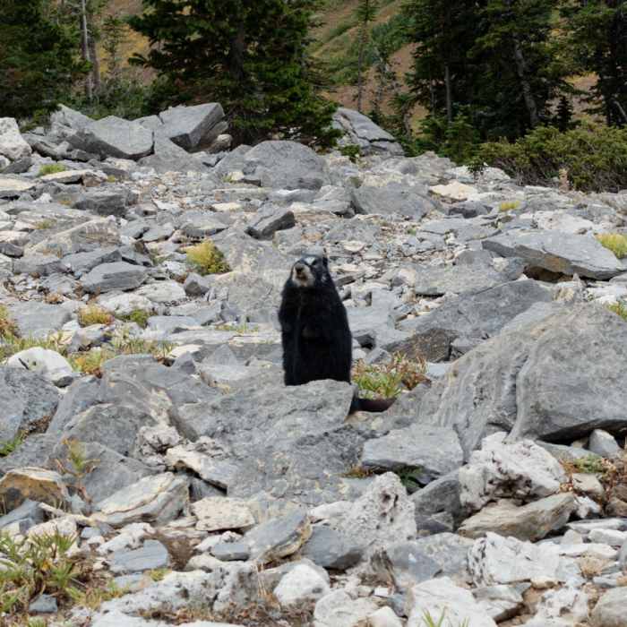 Near Teton Crest Trail Near Teton Crest Trail