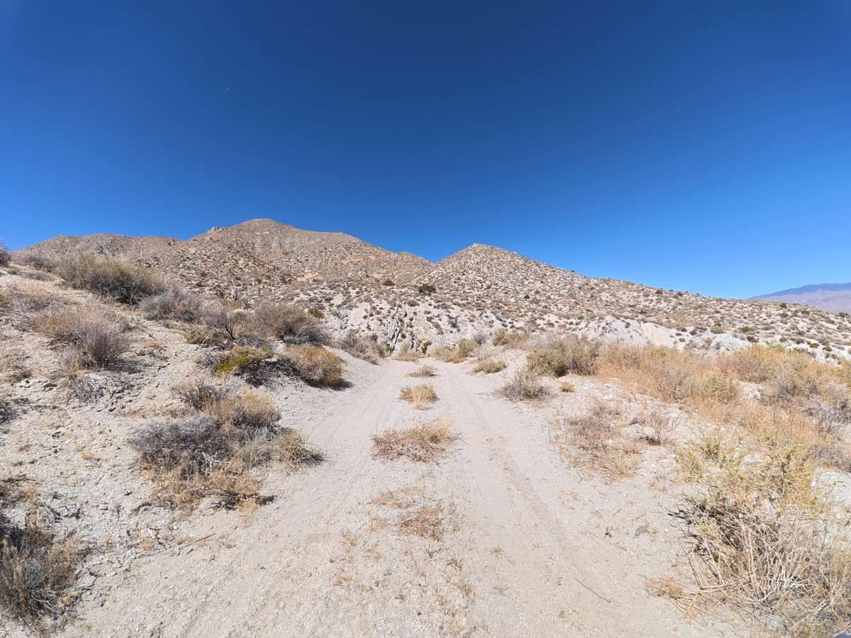 BLM 541 photo 5