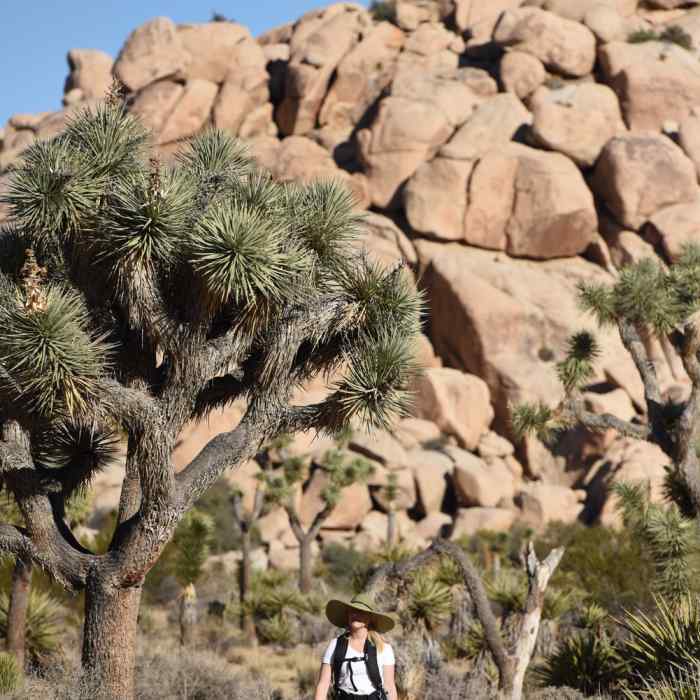 Near Barker Dam Nature Trail