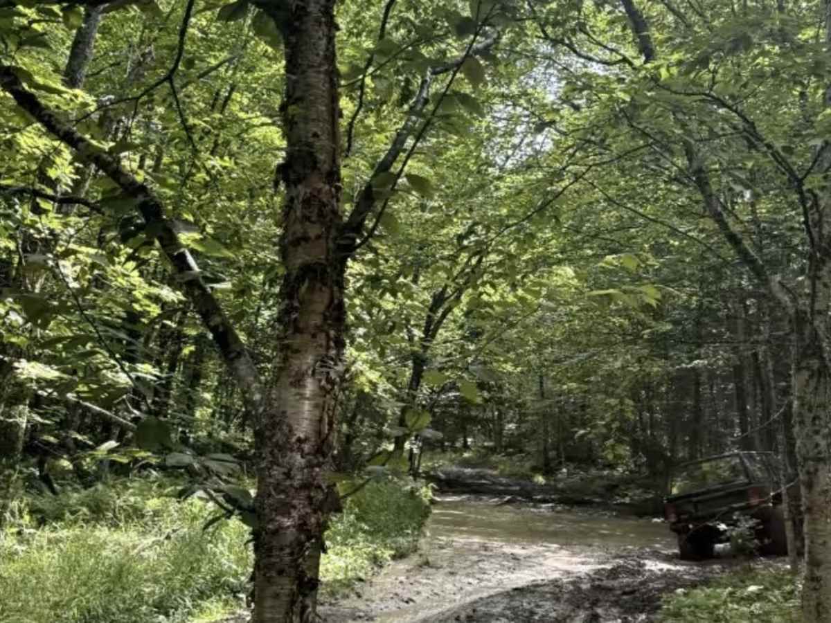 Eagle Mine photo 5