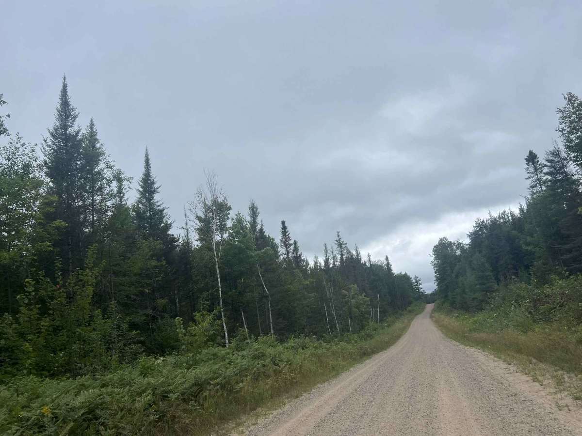 FS 2387 photo 3