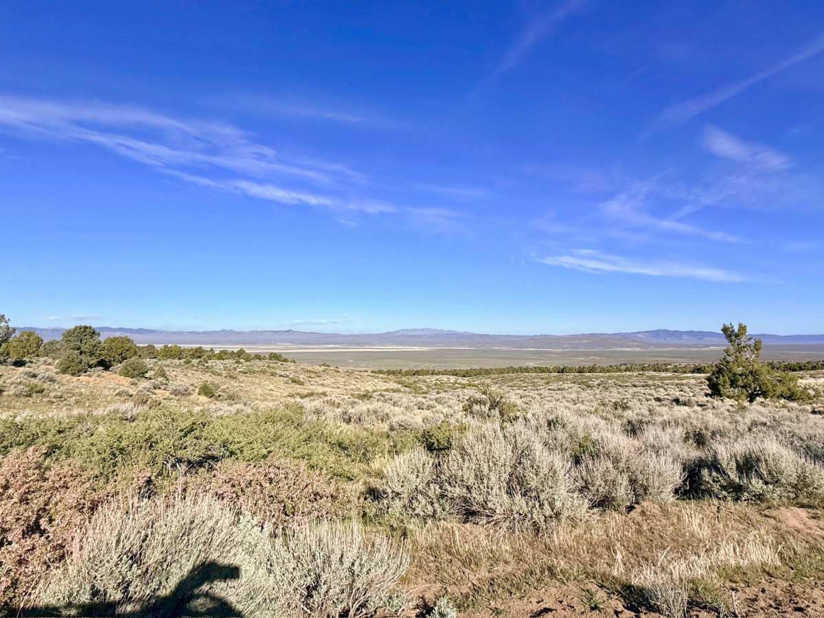 Crow Canyon - FS 43242 photo 2
