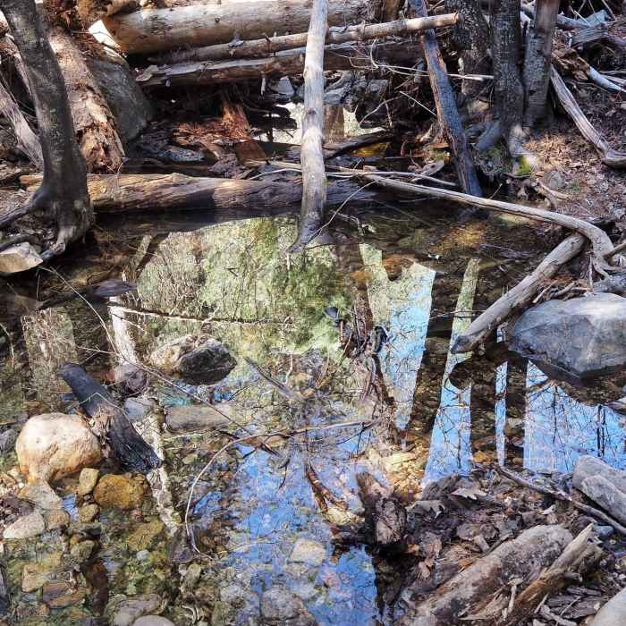 The creek in Marshall Gulch Near Marshall Gulch Trail #3