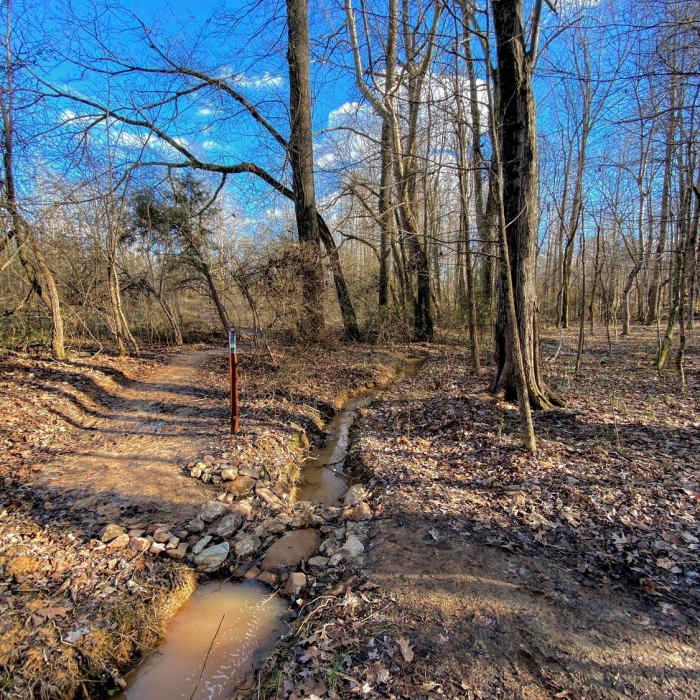 Near Forest Loop