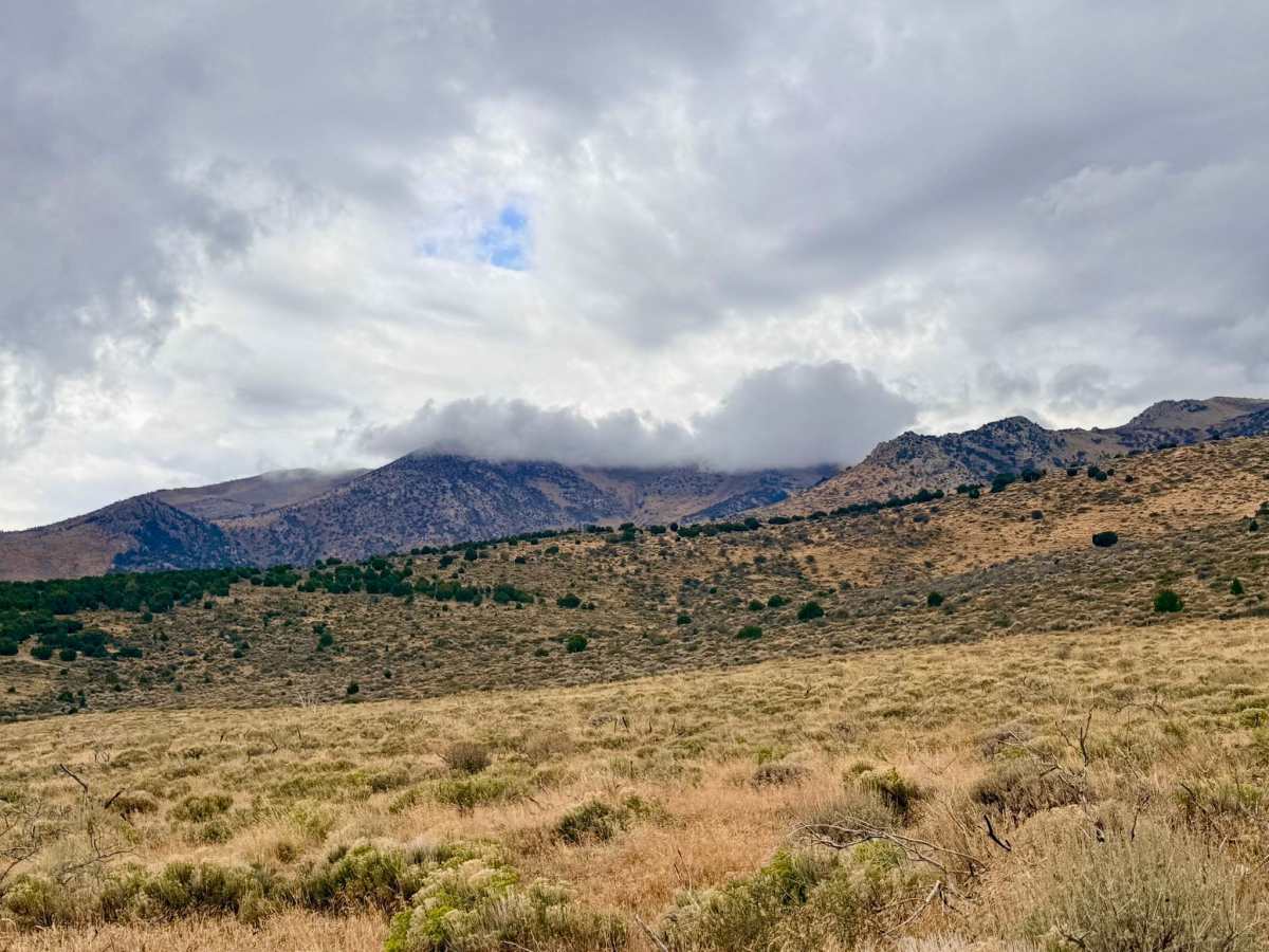 Lone Pine Ranch photo 3