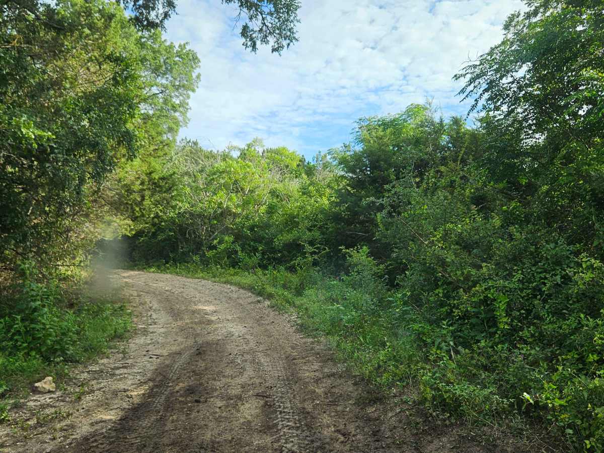Gus's Gulch photo 3