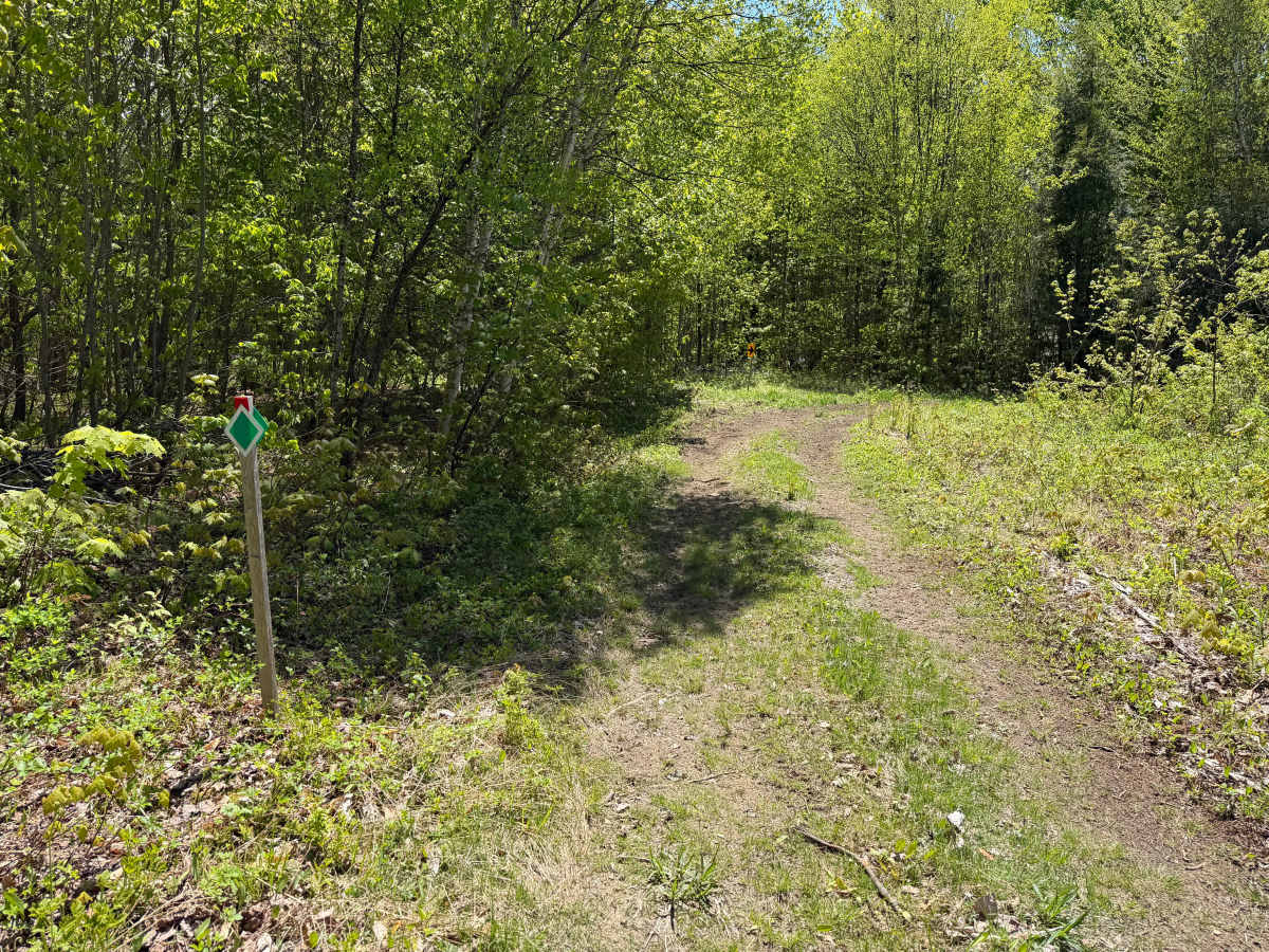 Bauer Wooded Spur Trail photo 5