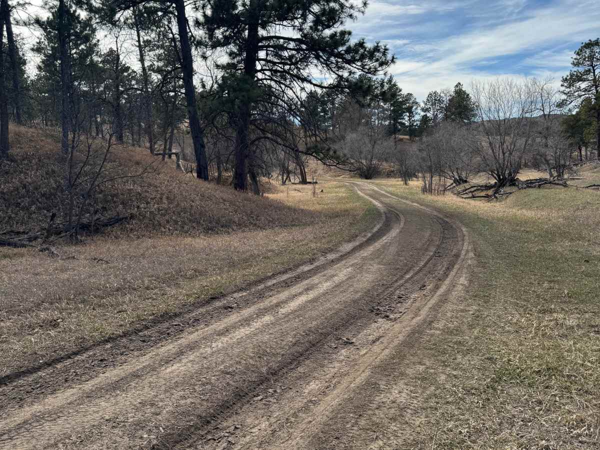 Strong Canyon Run  photo 5