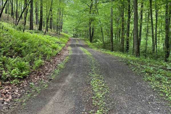 Hidden Valley Road