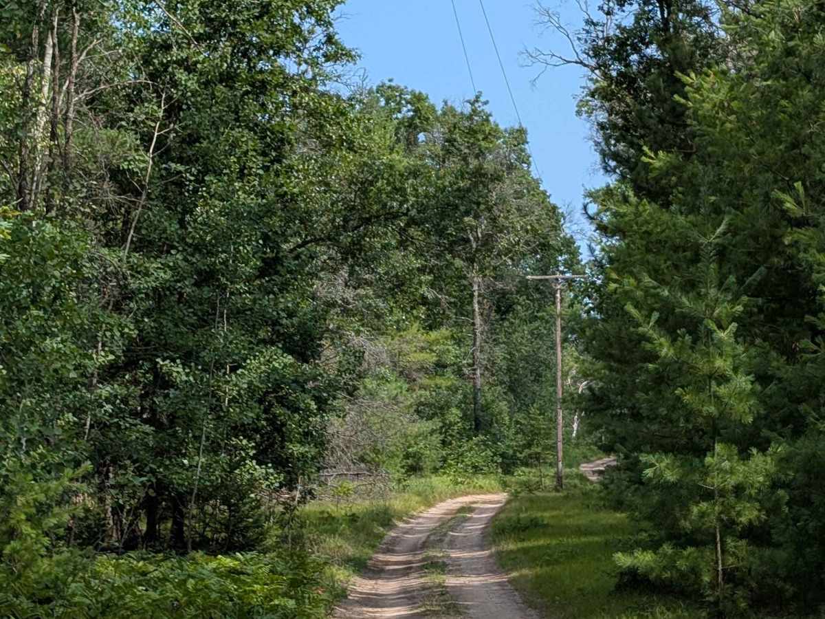 Webb Road - FS 4407 photo 4