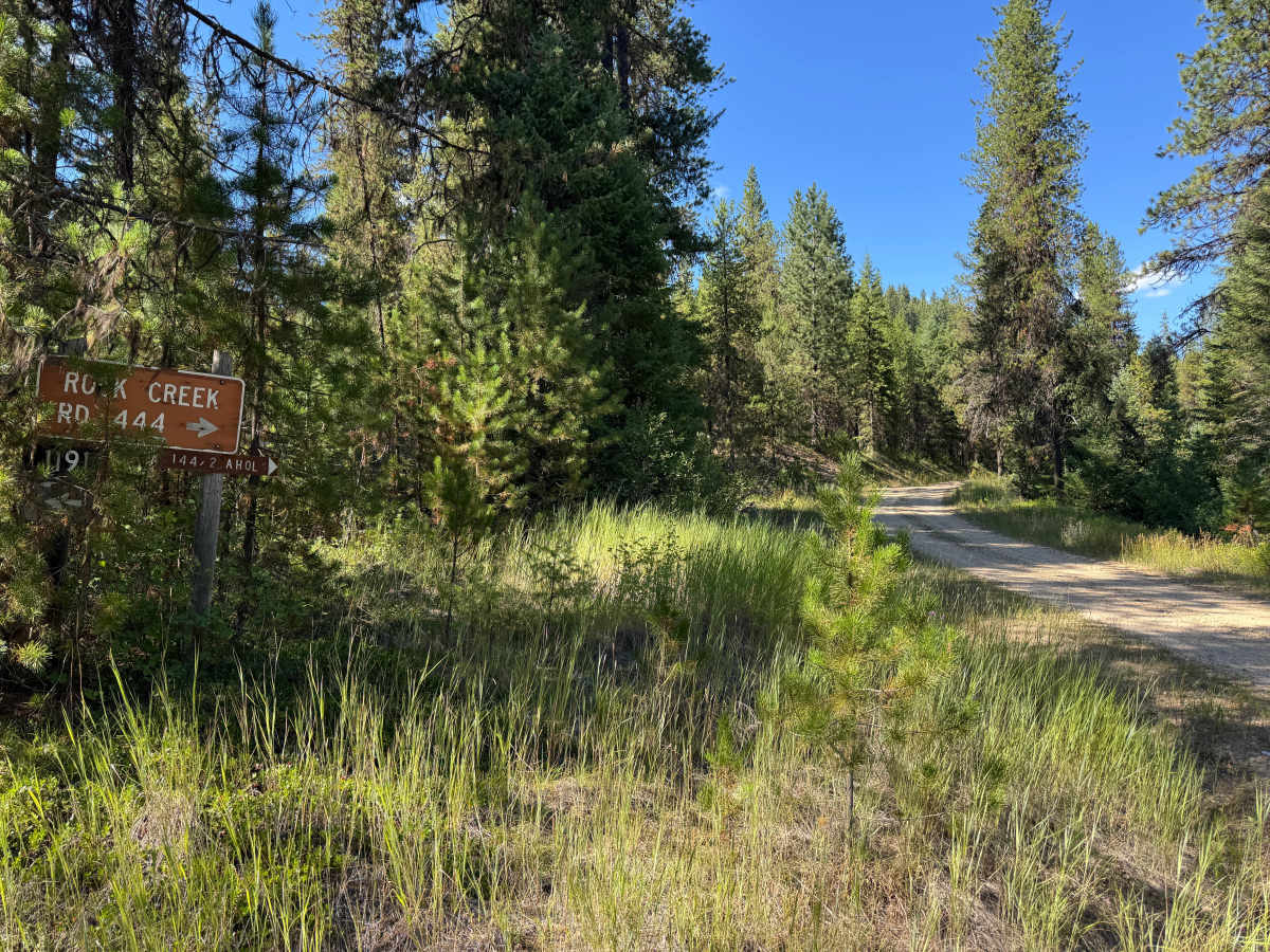 Rock Creek Road - FSR 444 trail photo