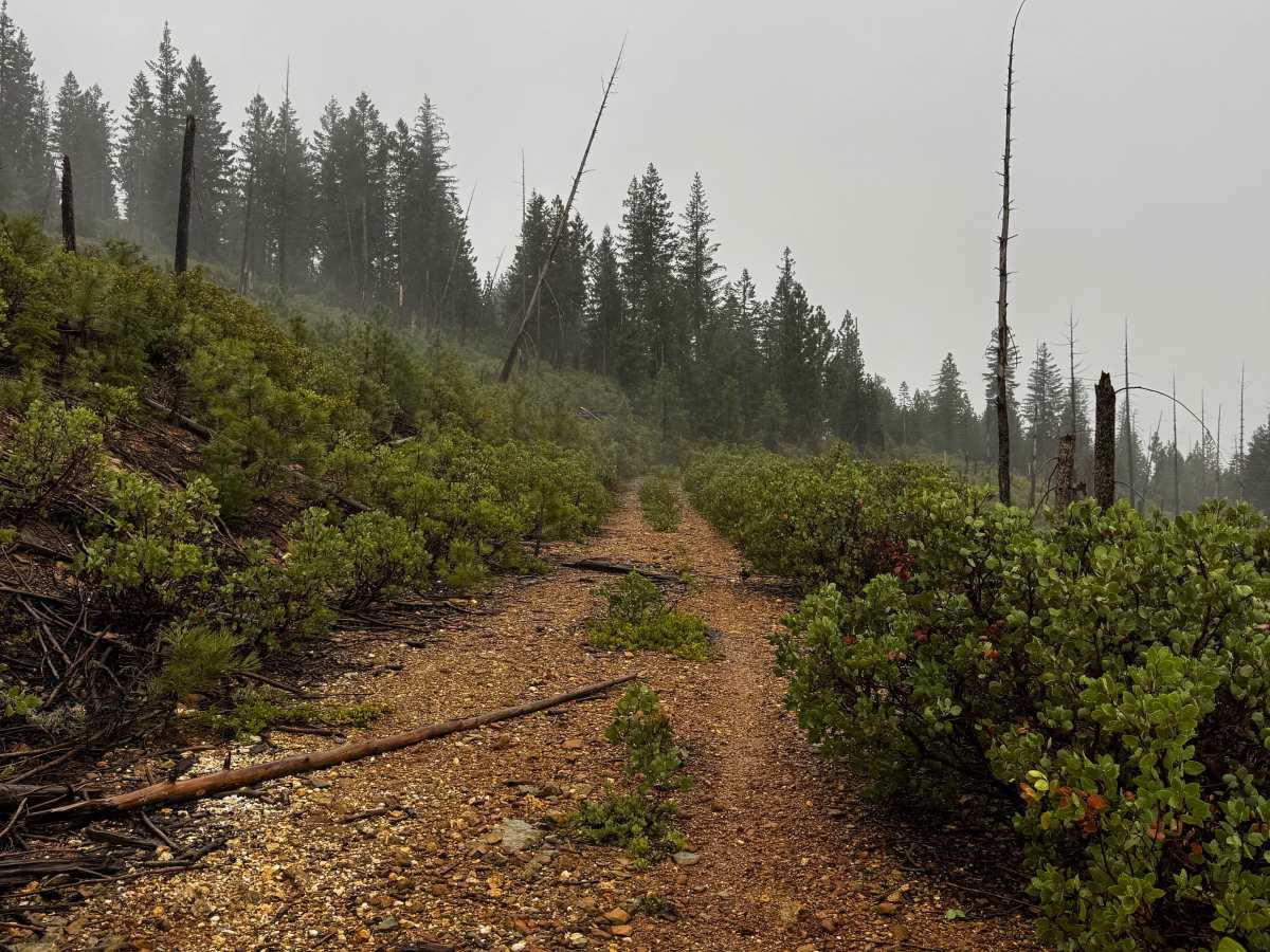 American Hill Trail Spur photo 5
