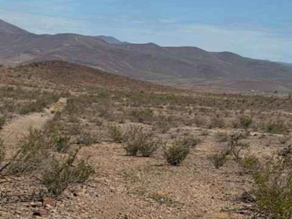 BLM PE1031 photo 3