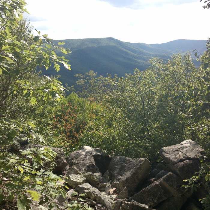 Near Hone Quarry Ridge (435)