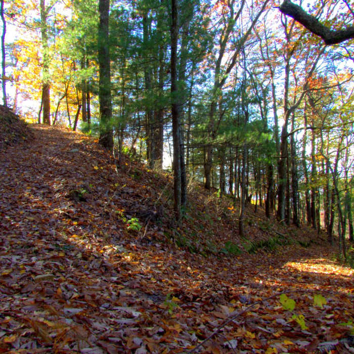 Near Fort Mountain State Park 301 Loop