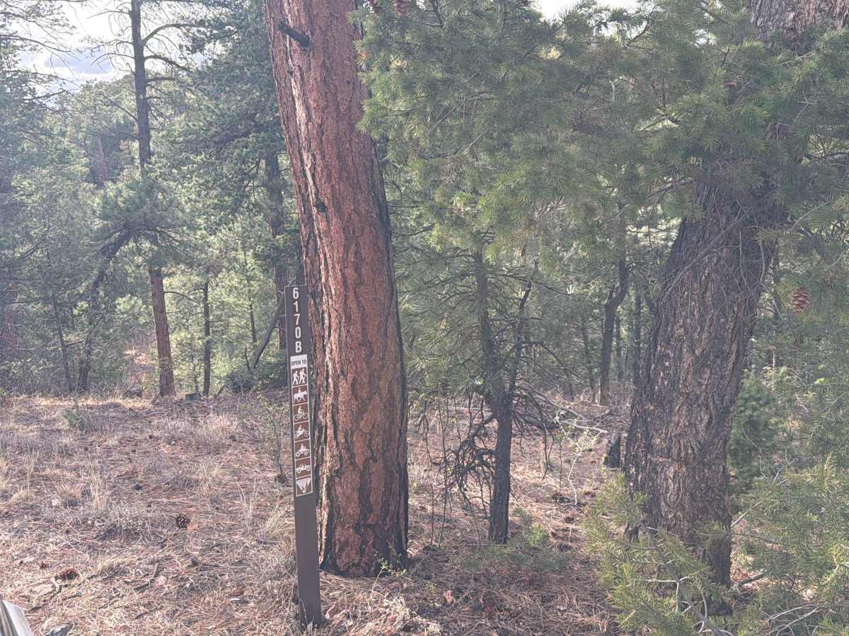 BLM 6170B photo 3