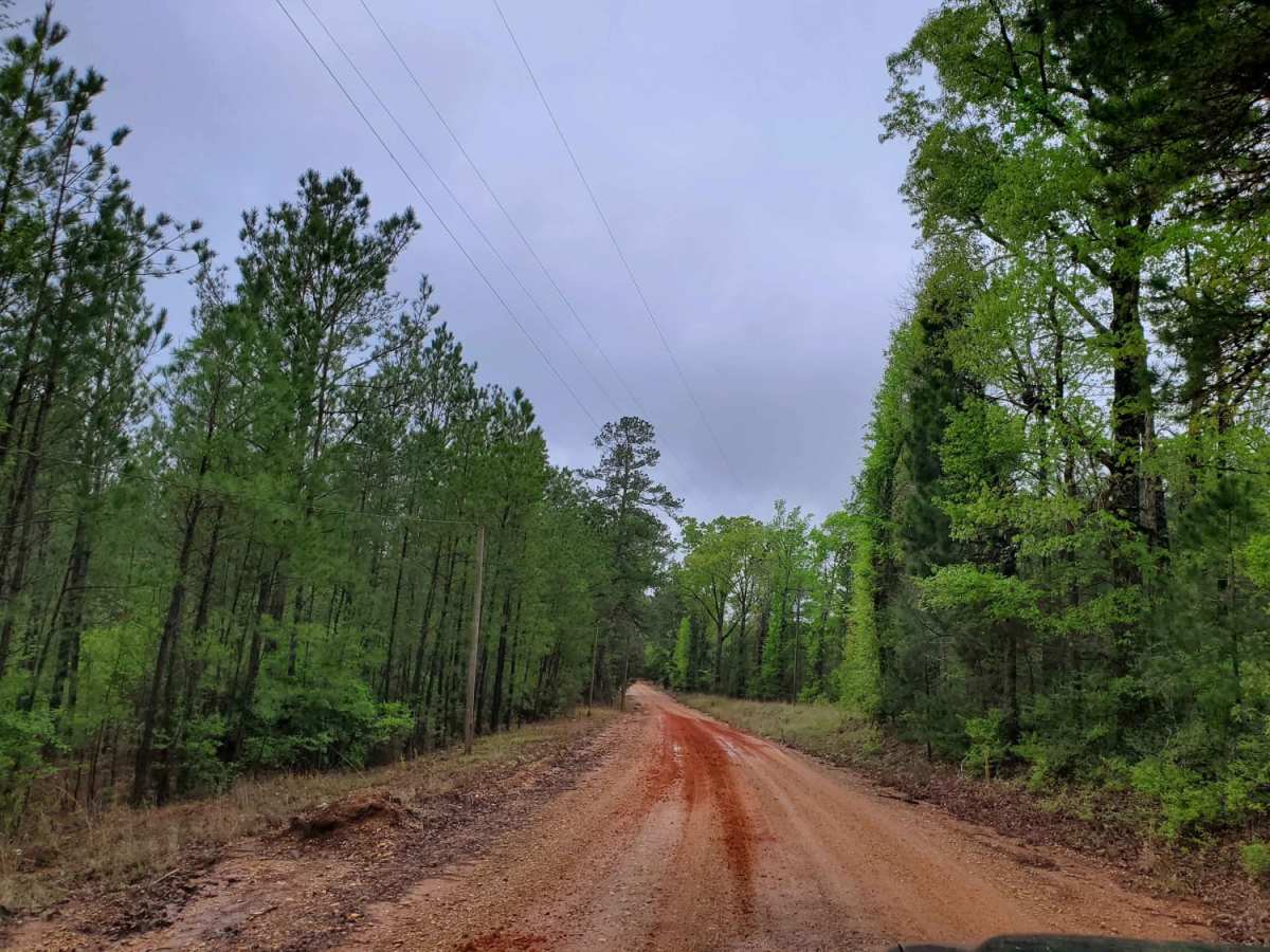 The Arkansas Overland Route - Section 9 - Norphlet Trek photo 6