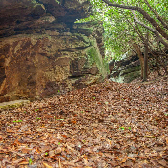 Near Manns Creek Gorge Trail