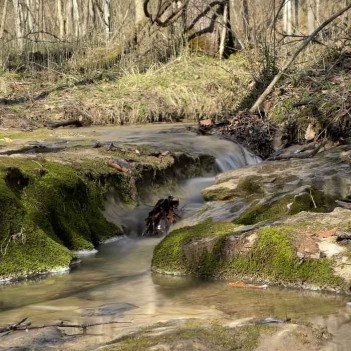 Near Thunderbunny 50k Course